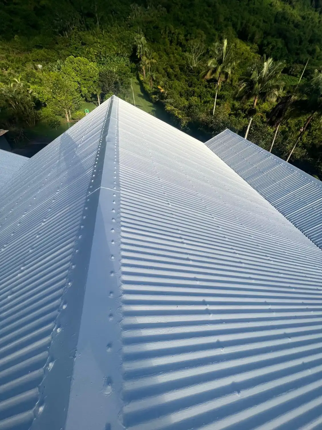 Versants d'une toiture en tôle remis en peinture grise, forêt tropicale en fond