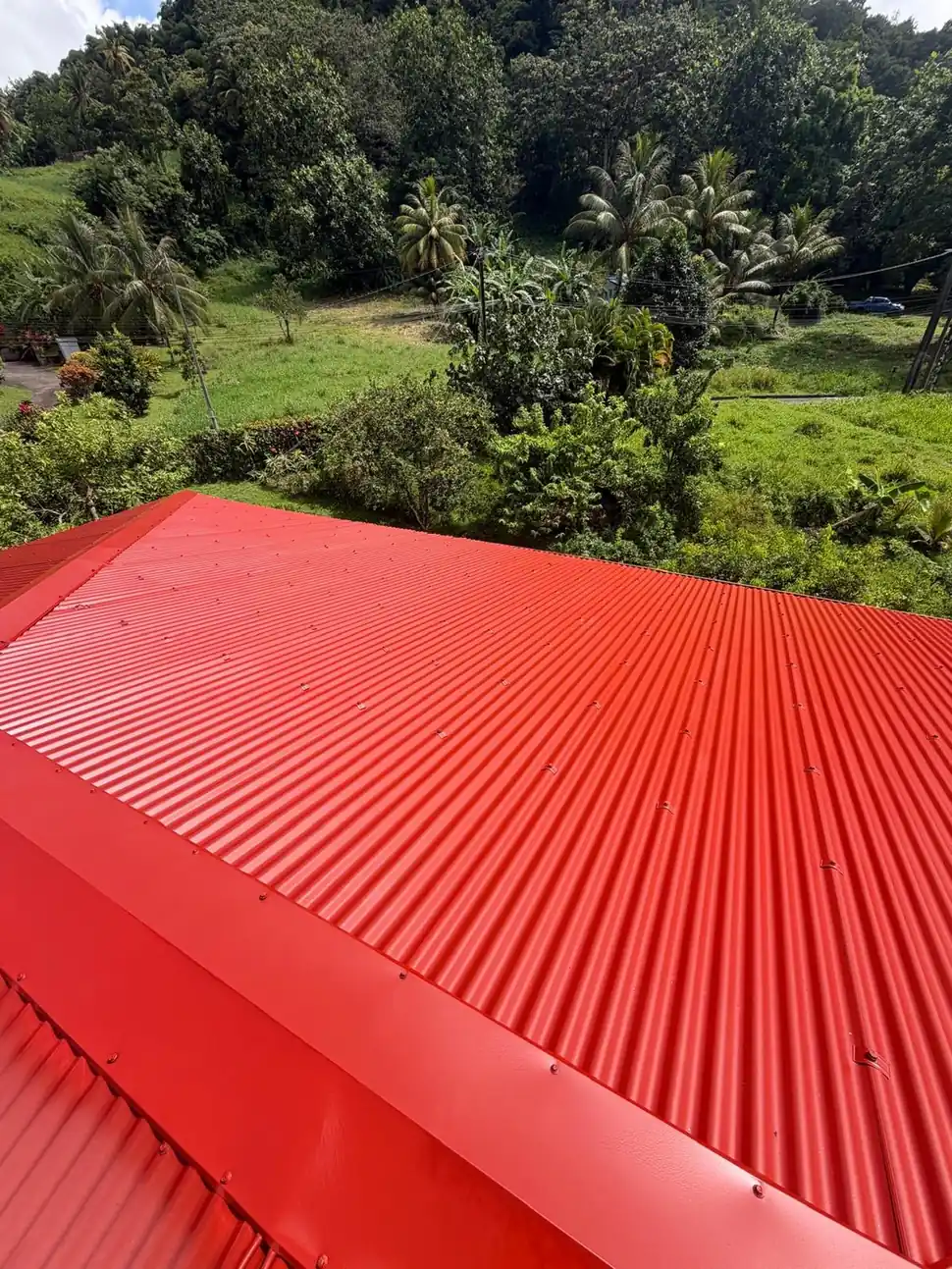 Couverture en tôle rouge posée sur une maison, cocotiers et versant boisé derrière