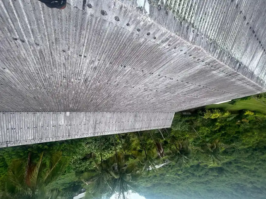 Toiture en tôle ancienne, surface patinée et fixations corrodées, cocotiers en contrebas